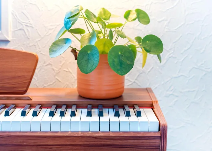 Mignon, Plein Centre 公寓 比亚里茨