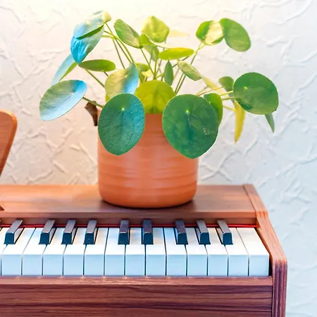 Mignon, Plein Centre Lägenhet Biarritz